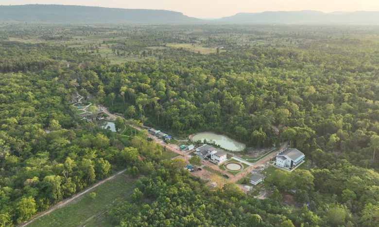 Siem Reap Rosewood Cambodia Korea Forest Recreational Site